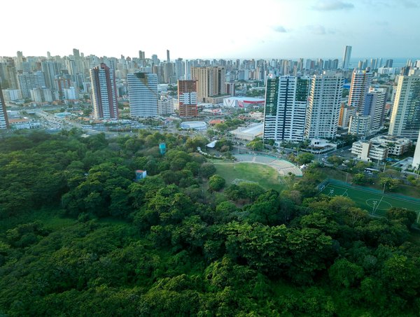 Comment le télétravail transforme-t-il notre quotidien ?